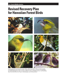 Revised Recovery Plan for Hawaiian Forest Birds