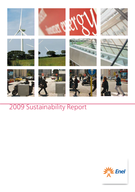 2009 Sustainability Report