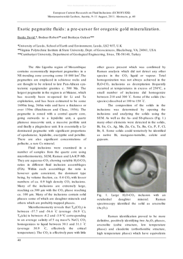 A Pre-Cursor for Orogenic Gold Mineralization