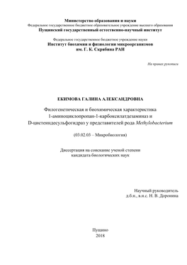 Филогенетическая И Биохимическая Характеристика 1-Аминоциклопропан-1-Карбоксилатдезаминаз И D-Цистеиндесульфогидраз У Представителей Рода Methylobacterium