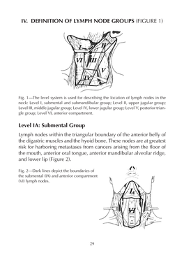 IV. DEFINITION of LYMPH NODE GROUPS (FIGURE 1) Level IA