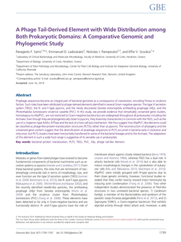 A Comparative Genomic and Phylogenetic Study