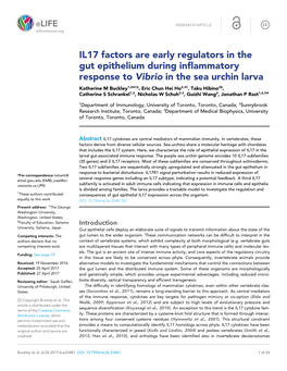 IL17 Factors Are Early Regulators in the Gut Epithelium During Inflammatory