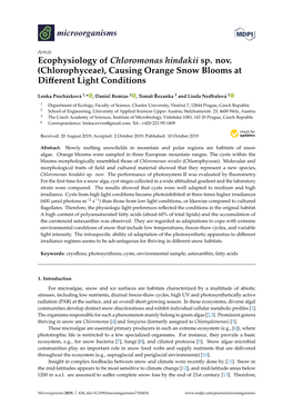 Ecophysiology of Chloromonas Hindakii Sp. Nov. (Chlorophyceae), Causing Orange Snow Blooms at Diﬀerent Light Conditions