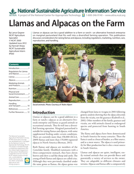 Llamas and Alpacas on the Farm