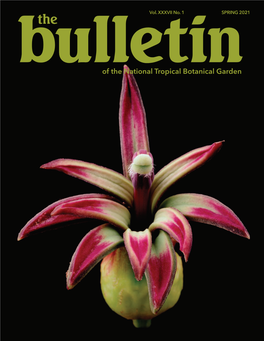 The Bulletin, 2021 Spring Issue