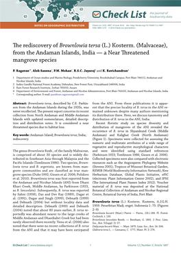 Brownlowia Tersa (L.) Kosterm