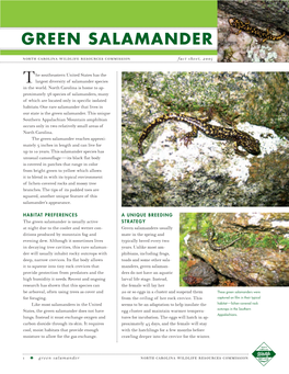 GREEN SALAMANDER North Carolina Wildlife Resources Commission Fact Sheet, 2005