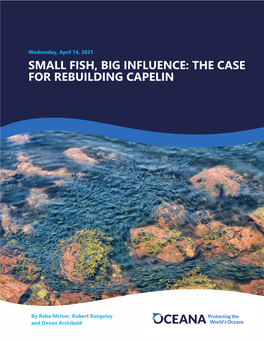 The Case for Rebuilding Capelin