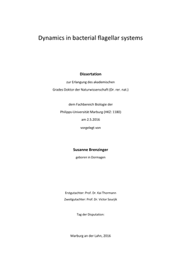 Dynamics in Bacterial Flagellar Systems