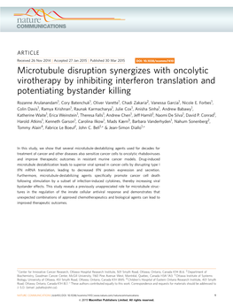 Microtubule Disruption Synergizes with Oncolytic Virotherapy by Inhibiting Interferon Translation and Potentiating Bystander Killing