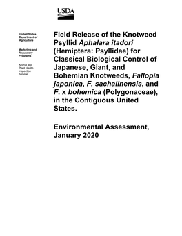 Field Release of the Knotweed Psyllid Aphalara Itadori