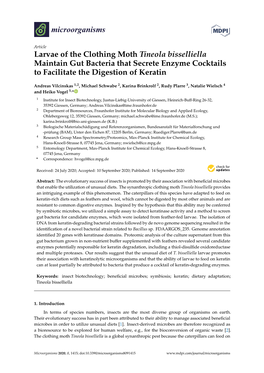 Larvae of the Clothing Moth Tineola Bisselliella Maintain Gut Bacteria That Secrete Enzyme Cocktails to Facilitate the Digestion of Keratin