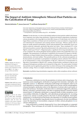 The Impact of Ambient Atmospheric Mineral-Dust Particles on the Calciﬁcation of Lungs