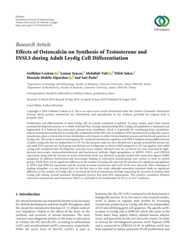 Effects of Osteocalcin on Synthesis of Testosterone and INSL3 During Adult Leydig Cell Differentiation