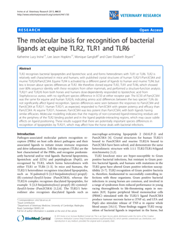 The Molecular Basis for Recognition of Bacterial Ligands at Equine TLR2