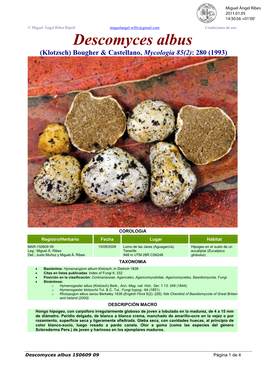 Descomyces Albus (Klotzsch) Bougher & Castellano, Mycologia 85(2): 280 (1993)