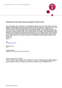 Draft Genome of the Wheat A-Genome Progenitor Triticum Urartu