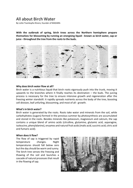 About Birch Water by Lotte Tisenkopfa-Iltnere, Founder of MADARA