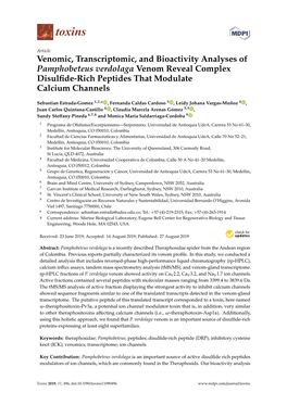 Venomic, Transcriptomic, and Bioactivity Analyses of Pamphobeteus Verdolaga Venom Reveal Complex Disulﬁde-Rich Peptides That Modulate Calcium Channels