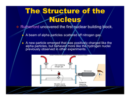 The Structure of the Nucleus