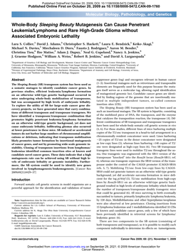 Whole-Body Sleeping Beauty Mutagenesis Can Cause Penetrant Leukemia/Lymphoma and Rare High-Grade Glioma Without Associated Embryonic Lethality