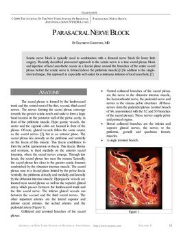 Parasacral Nerve Block Anesthesia (