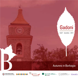 Gadoni Programma