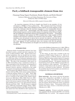 Tnr8, a Foldback Transposable Element from Rice