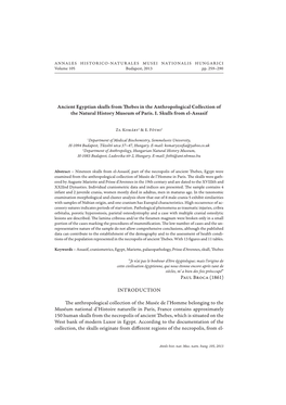 Ancient Egyptian Skulls from Thebes in the Anthropological Collection of the Natural History Museum of Paris. I. Skulls From