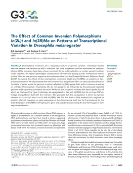 The Effect of Common Inversion Polymorphisms In(2L)T and In(3R)Mo on Patterns of Transcriptional Variation in Drosophila Melanogaster