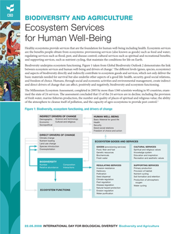 Ecosystem Services for Human Well-Being