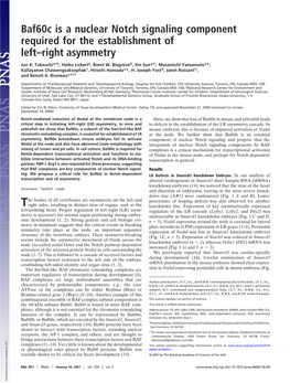 Baf60c Is a Nuclear Notch Signaling Component Required for the Establishment of Left–Right Asymmetry