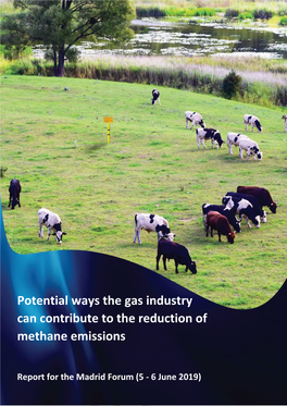 Potential Way Gas Industry Can Contribute to the Reduction of Methane Emissions Report for the Madrid Forum (5 - 6 June 2019)