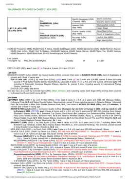 TAILORMADE PEDIGREE for CASTLE LADY (IRE)