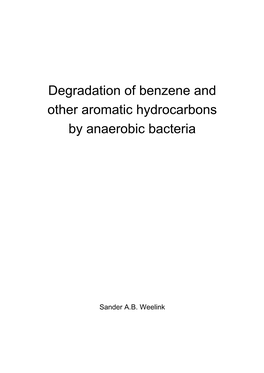 Degradation of Benzene and Other Aromatic Hydrocarbons by Anaerobic Bacteria