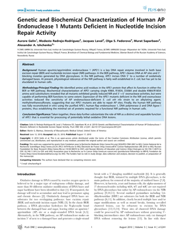 Genetic and Biochemical Characterization of Human AP Endonuclease 1 Mutants Deficient in Nucleotide Incision Repair Activity