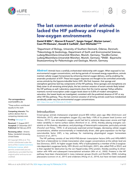 The Last Common Ancestor of Animals Lacked the HIF Pathway and Respired in Low-Oxygen Environments