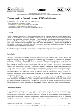 Two New Species of Cantharis Linnaeus, 1758 from Baltic Amber