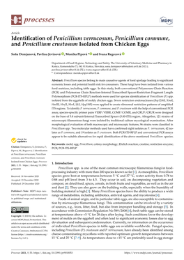 Identification of Penicillium Verrucosum, Penicillium Commune