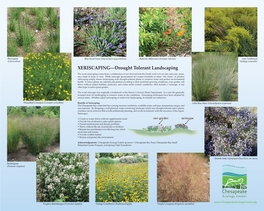 Xeriscaping—Drought Tolerant Landscaping