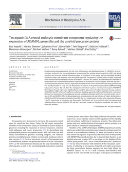 Tetraspanin 3: a Central Endocytic Membrane Component Regulating the Expression of ADAM10, Presenilin and the Amyloid Precursor Protein