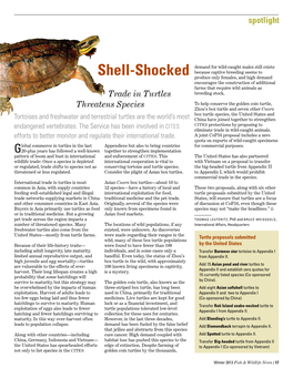 Shell-Shocked: Trade in Turtles Threatens Species