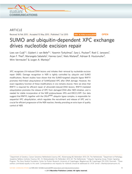 SUMO and Ubiquitin-Dependent XPC Exchange Drives Nucleotide Excision Repair