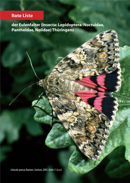 Eulenfalter (Insecta: Lepidoptera: Noctuidae, Pantheidae, Nolidae) Thüringens