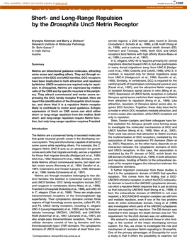 And Long-Range Repulsion by the Drosophila Unc5 Netrin Receptor