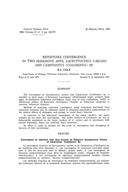 Zacryptocerus Varians and Camponotus (Colobopsis) Sp