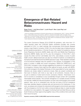 Emergence of Bat-Related Betacoronaviruses: Hazard and Risks