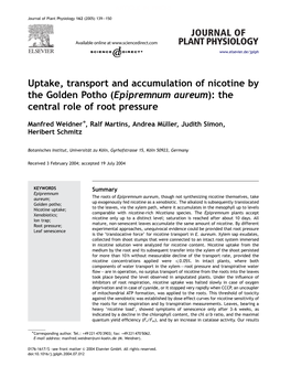 Uptake, Transport and Accumulation of Nicotine by the Golden Potho (Epipremnum Aureum): the Central Role of Root Pressure