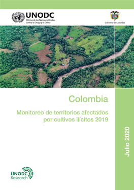 Colombia -Monitoreo De Territorios Afectados Por Cultivos Ilicitos 2019